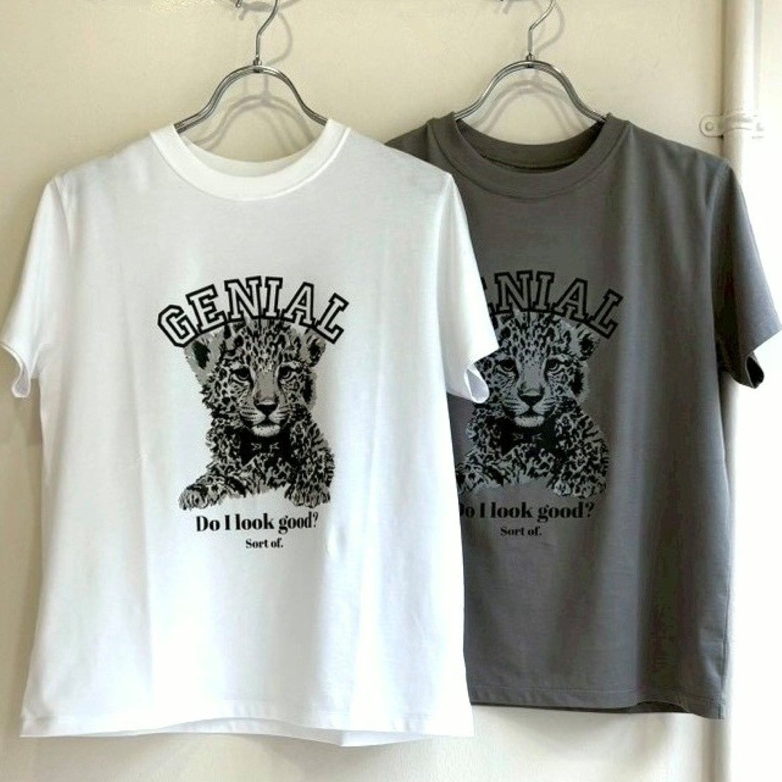 ISHIKAWA-LABO